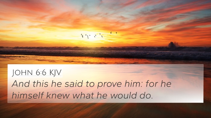 John 6:6 KJV 4K Wallpaper - And this he said to prove him: for he himself - 4K Wallpaper Bible Verse