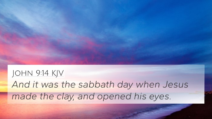 John 9:14 KJV Bible Verse Image