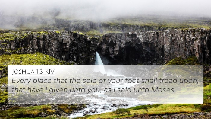 Joshua 1:3 KJV 4K Wallpaper - Every place that the sole of your foot shall - 4K Wallpaper Bible Verse