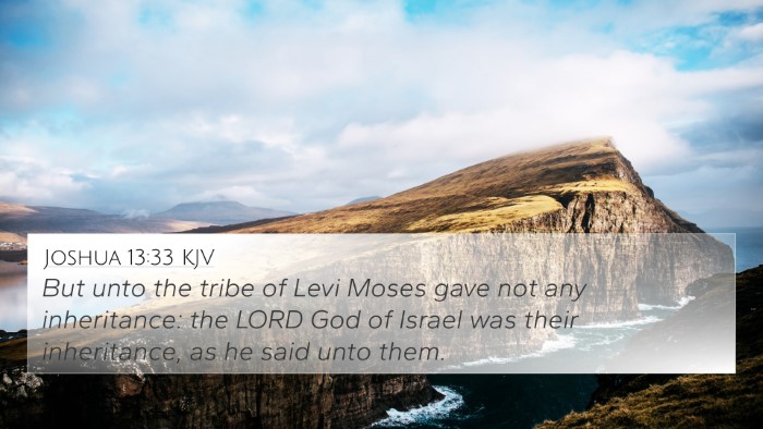 Joshua 13:33 KJV 4K Wallpaper - But unto the tribe of Levi Moses gave not any - 4K Wallpaper Bible Verse
