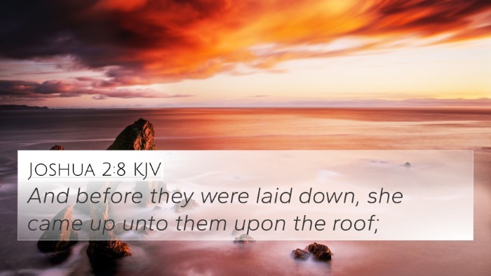 Joshua 2:8 KJV 4K Wallpaper - And before they were laid down, she came up unto - 4K Wallpaper Bible Verse