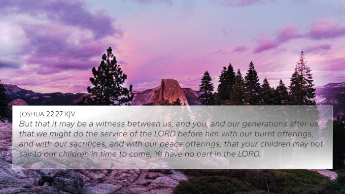 Joshua 22:27 KJV 4K Wallpaper - But that it may be a witness between us, and you, - 4K Wallpaper Bible Verse