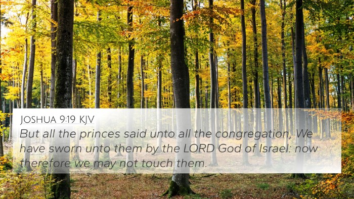 Joshua 9:19 KJV Bible Verse Image