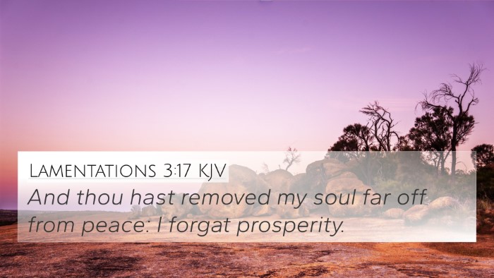 Lamentations 3:17 KJV 4K Wallpaper - And thou hast removed my soul far off from peace: - 4K Wallpaper Bible Verse
