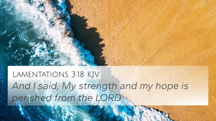 Lamentations 3:18 KJV Bible Verse Image