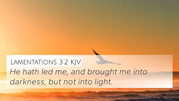 Lamentations 3:2 KJV Bible Verse Image