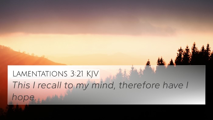 Lamentations 3:21 KJV Bible Verse Image