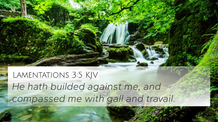 Lamentations 3:5 KJV Bible Verse Image