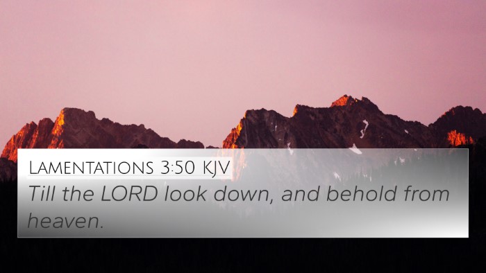 Lamentations 3:50 KJV Bible Verse Image