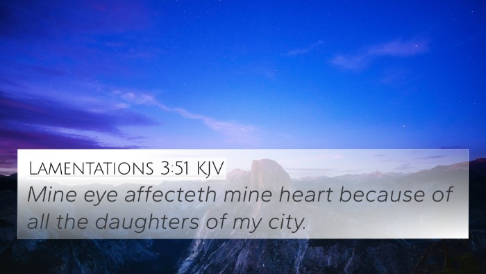 Lamentations 3:51 KJV Bible Verse Image
