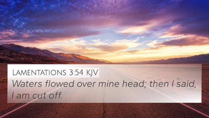 Lamentations 3:54 KJV Bible Verse Image