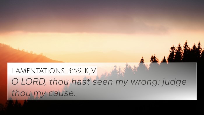 Lamentations 3:59 KJV Bible Verse Image