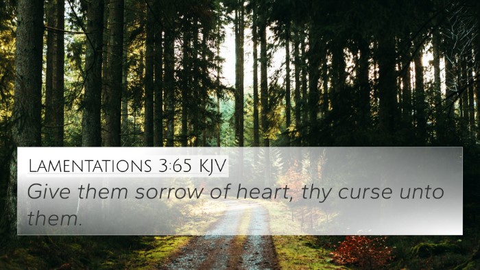Lamentations 3:65 KJV Bible Verse Image