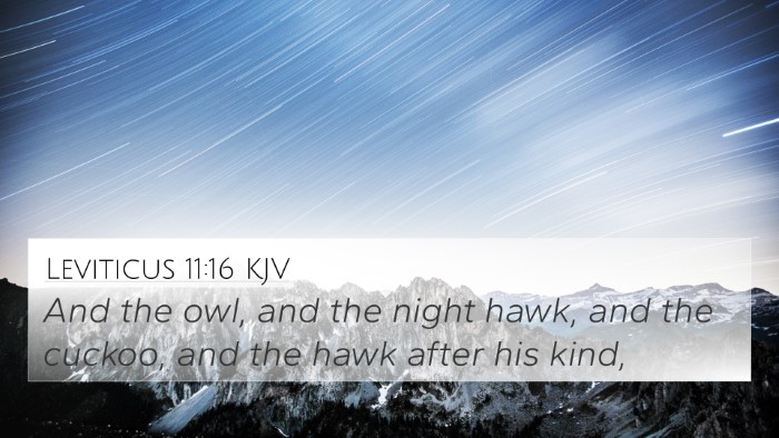 Leviticus 11:16 KJV 4K Wallpaper - And the owl, and the night hawk, and the cuckoo, - 4K Wallpaper Bible Verse