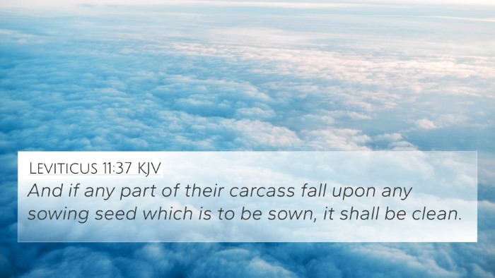 Leviticus 11:37 KJV 4K Wallpaper - And if any part of their carcass fall upon any - 4K Wallpaper Bible Verse