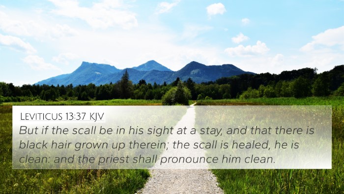 Leviticus 13:37 KJV 4K Wallpaper - But if the scall be in his sight at a stay, and - 4K Wallpaper Bible Verse