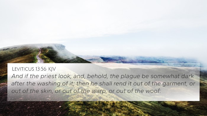 Leviticus 13:56 KJV 4K Wallpaper - And if the priest look, and, behold, the plague - 4K Wallpaper Bible Verse