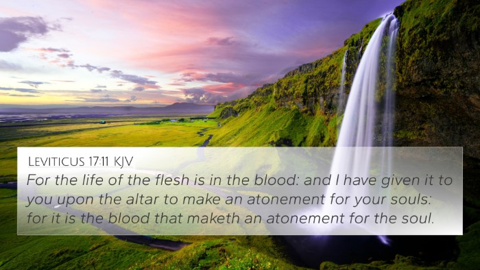 Leviticus 17:11 KJV Bible Verse Image