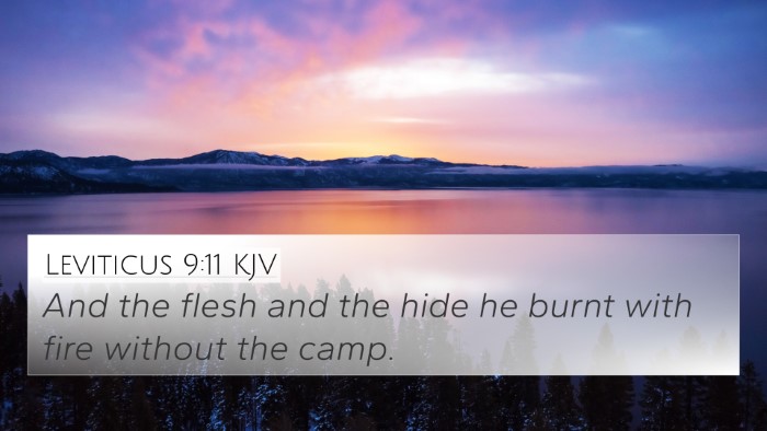 Leviticus 9:11 KJV 4K Wallpaper - And the flesh and the hide he burnt with fire - 4K Wallpaper Bible Verse