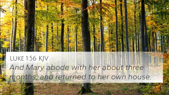 Luke 1:56 KJV 4K Wallpaper - And Mary abode with her about three months, and - 4K Wallpaper Bible Verse