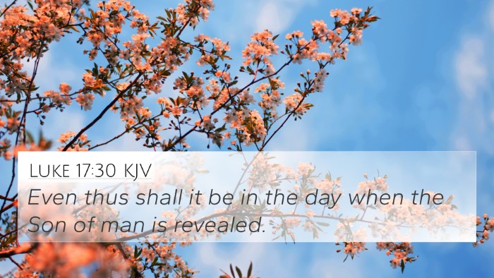Luke 17:30 KJV Bible Verse Image
