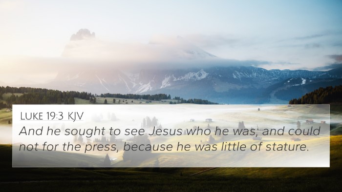 Luke 19:3 KJV 4K Wallpaper - And he sought to see Jesus who he was; and could - 4K Wallpaper Bible Verse