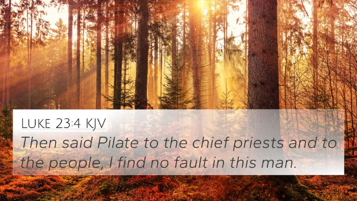 Luke 23:4 KJV 4K Wallpaper - Then said Pilate to the chief priests and to the - 4K Wallpaper Bible Verse