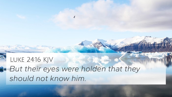 Luke 24:16 KJV Bible Verse Image