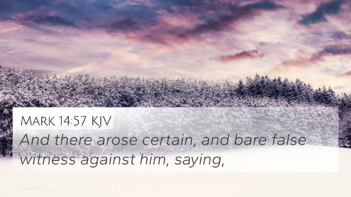 Mark 14:57 KJV Bible Verse Image