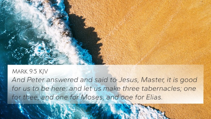Mark 9:5 KJV 4K Wallpaper - And Peter answered and said to Jesus, Master, it - 4K Wallpaper Bible Verse