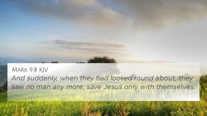 Mark 9:8 KJV 4K Wallpaper - And suddenly, when they had looked round about, - 4K Wallpaper Bible Verse