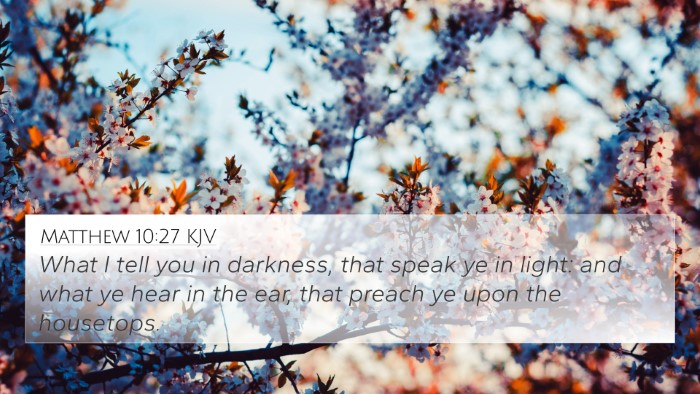 Matthew 10:27 KJV Bible Verse Image