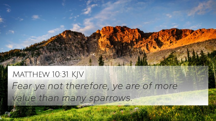 Matthew 10:31 KJV Bible Verse Image