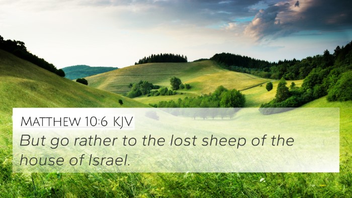 Matthew 10:6 KJV Bible Verse Image
