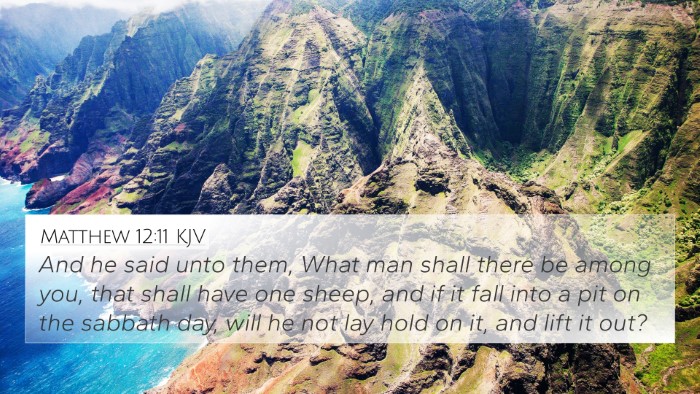 Matthew 12:11 KJV 4K Wallpaper - And he said unto them, What man shall there be - 4K Wallpaper Bible Verse