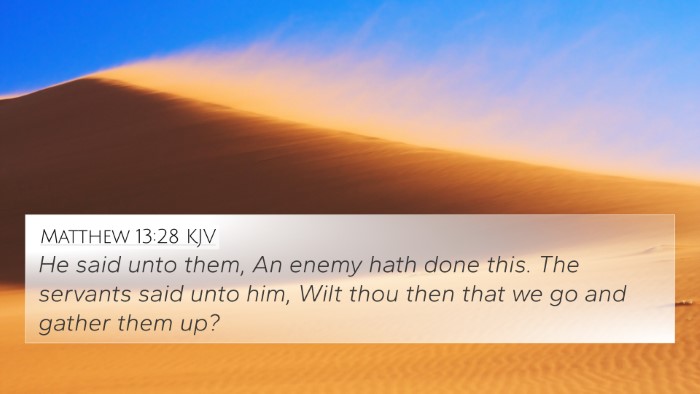 Matthew 13:28 KJV Bible Verse Image