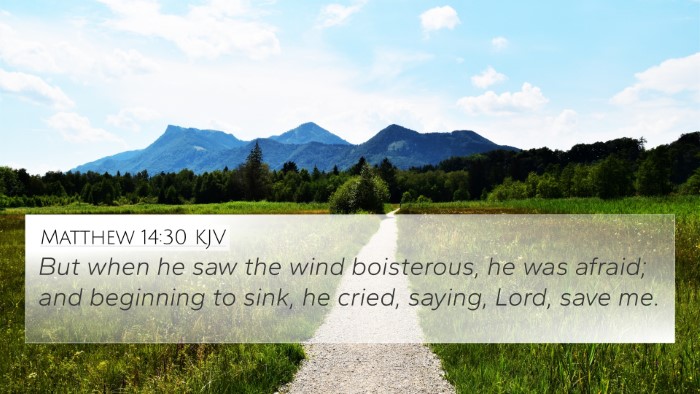 Matthew 14:30 KJV 4K Wallpaper - But when he saw the wind boisterous, he was - 4K Wallpaper Bible Verse