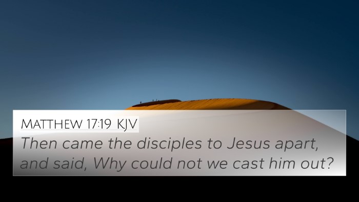 Matthew 17:19 KJV Bible Verse Image