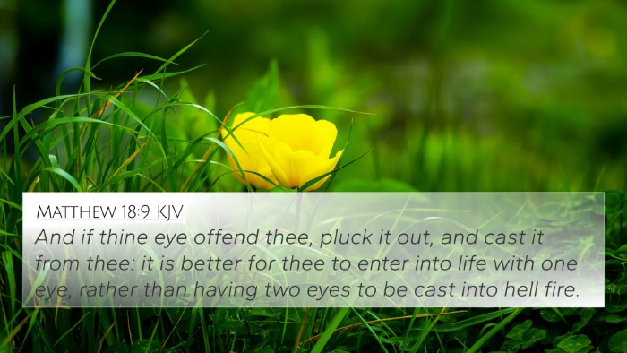 Matthew 18:9 KJV Bible Verse Image