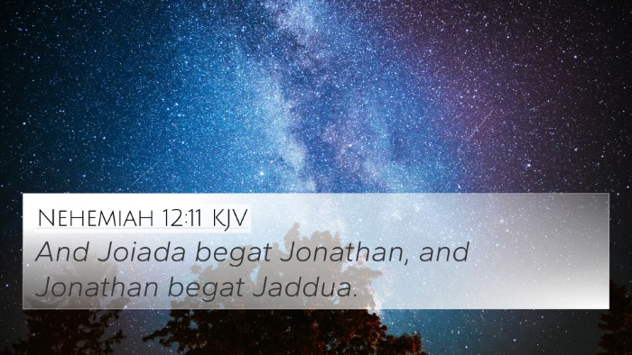 Nehemiah 12:11 KJV 4K Wallpaper - And Joiada begat Jonathan, and Jonathan begat - 4K Wallpaper Bible Verse