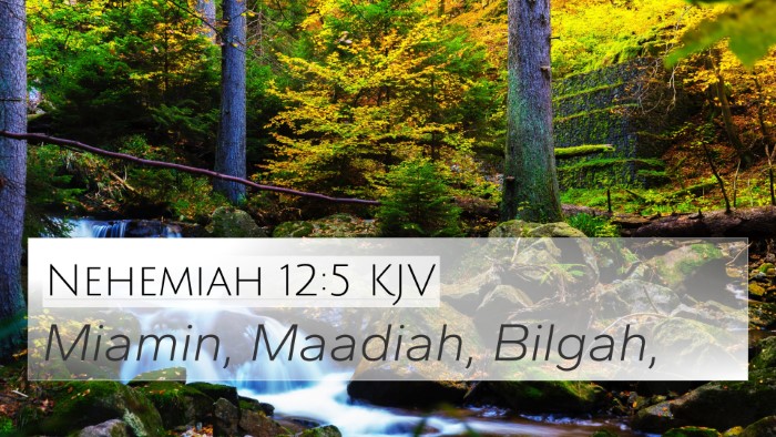 Nehemiah 12:5 KJV 4K Wallpaper - Miamin, Maadiah, - 4K Wallpaper Bible Verse