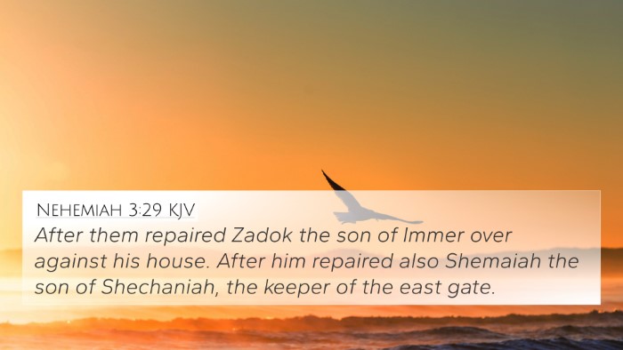 Nehemiah 3:29 KJV Bible Verse Image