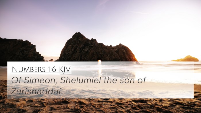 Numbers 1:6 KJV 4K Wallpaper - Of Simeon; Shelumiel the son of - 4K Wallpaper Bible Verse