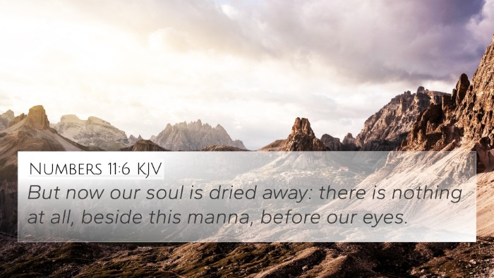 Numbers 11:6 KJV 4K Wallpaper - But now our soul is dried away: there is nothing - 4K Wallpaper Bible Verse