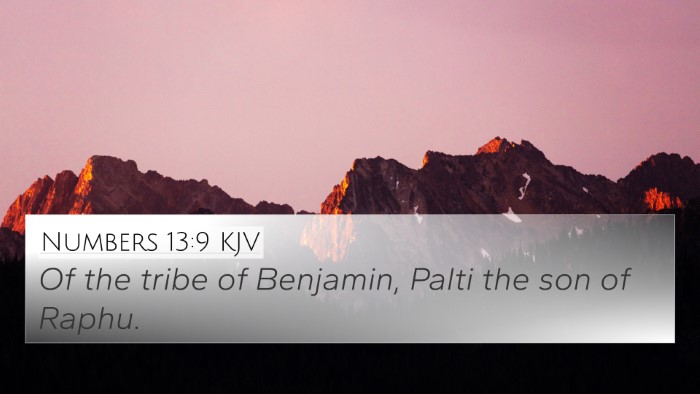 Numbers 13:9 KJV 4K Wallpaper - Of the tribe of Benjamin, Palti the son of - 4K Wallpaper Bible Verse