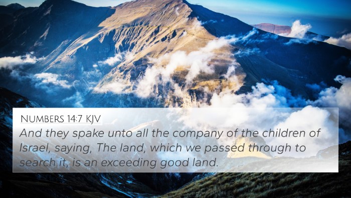 Numbers 14:7 KJV 4K Wallpaper - And they spake unto all the company of the - 4K Wallpaper Bible Verse