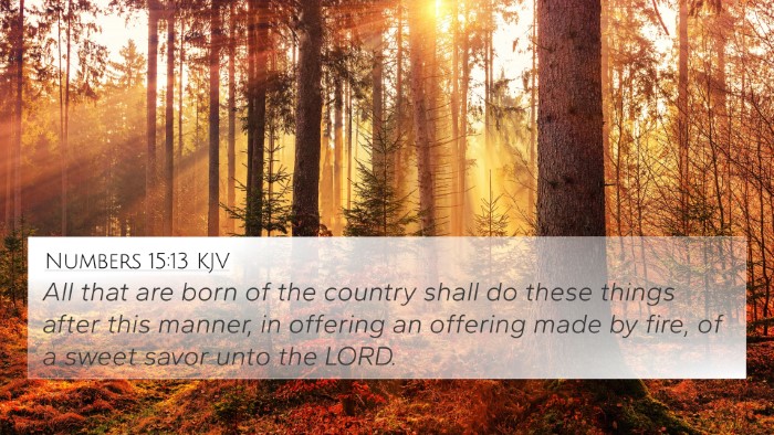 Numbers 15:13 KJV 4K Wallpaper - All that are born of the country shall do these - 4K Wallpaper Bible Verse