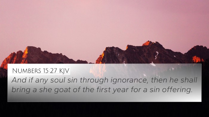 Numbers 15:27 KJV 4K Wallpaper - And if any soul sin through ignorance, then he - 4K Wallpaper Bible Verse