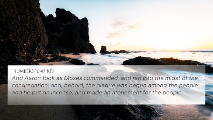 Numbers 16:47 KJV Bible Verse Image