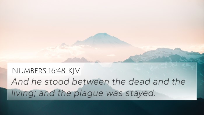Numbers 16:48 KJV Bible Verse Image